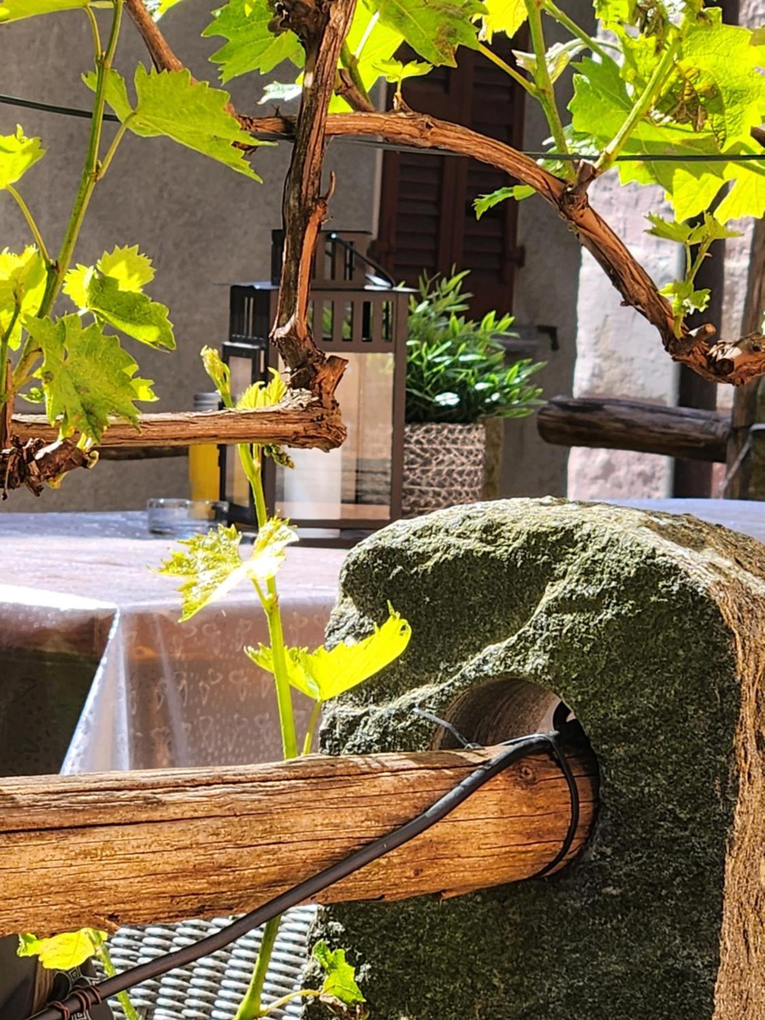 Someo B&B Osteria Morganti المظهر الخارجي الصورة